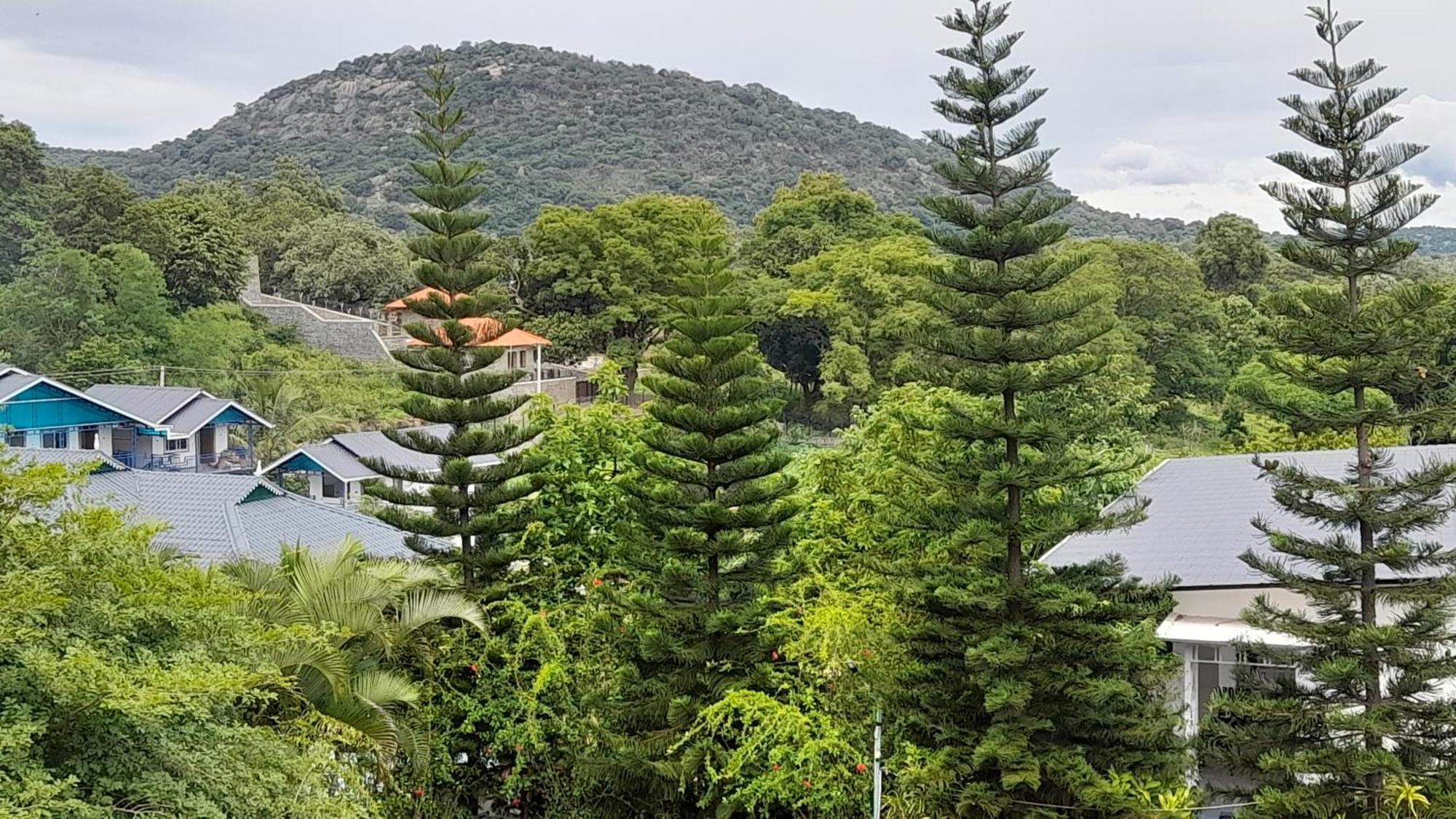 Mgm Whispering Wind'S Yelagiri Hotel Buitenkant foto